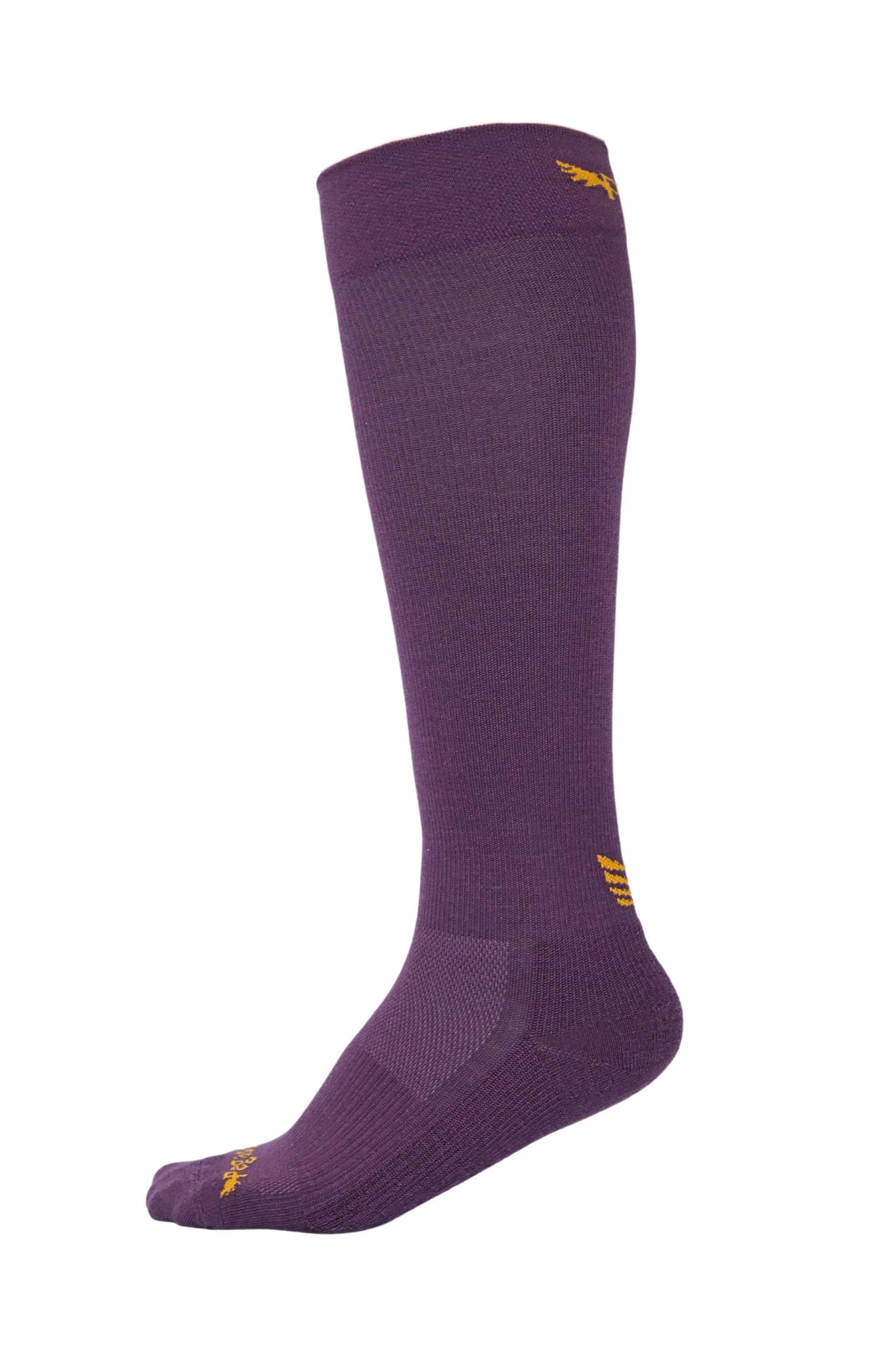 Merino