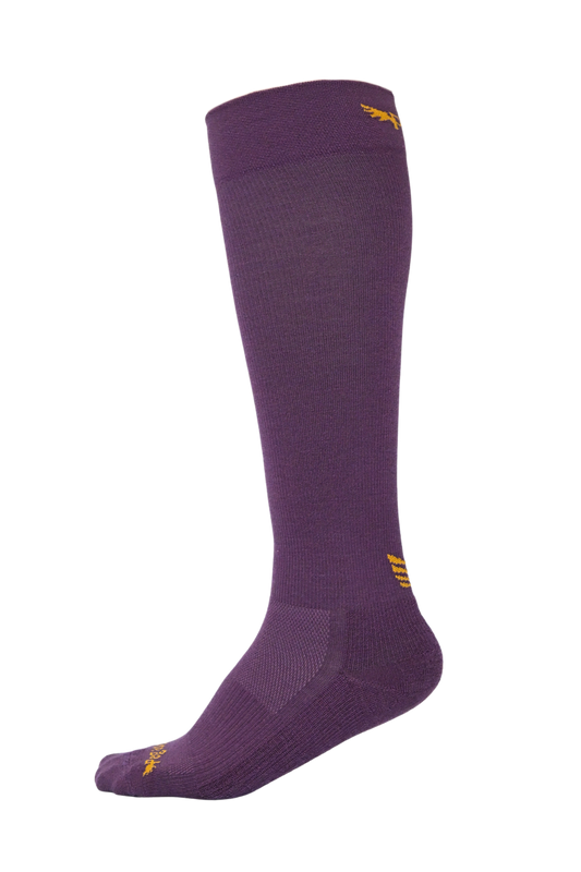 Merino